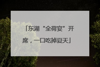 东湖“全荷宴”开席，一口吃掉夏天