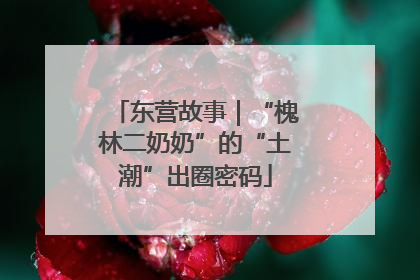东营故事｜“槐林二奶奶”的“土潮”出圈密码