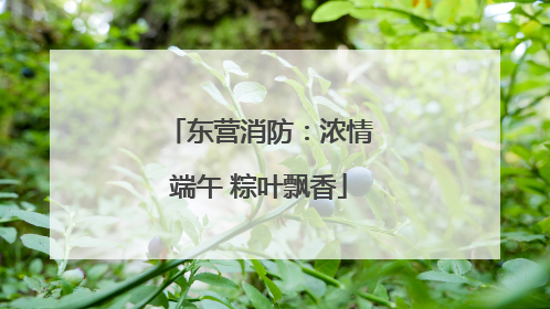 东营消防：浓情端午 粽叶飘香