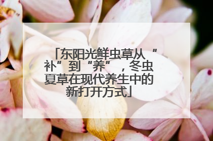 东阳光鲜虫草从“补”到“养”，冬虫夏草在现代养生中的新打开方式