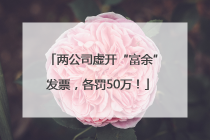两公司虚开“富余”发票，各罚50万！