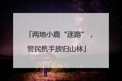 两地小鹿“迷路”，警民携手放归山林