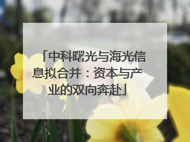 中科曙光与海光信息拟合并：资本与产业的双向奔赴