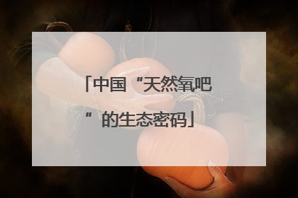 中国“天然氧吧”的生态密码
