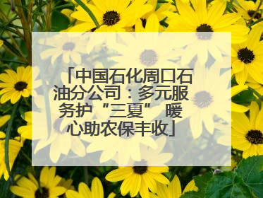 中国石化周口石油分公司：多元服务护“三夏” 暖心助农保丰收