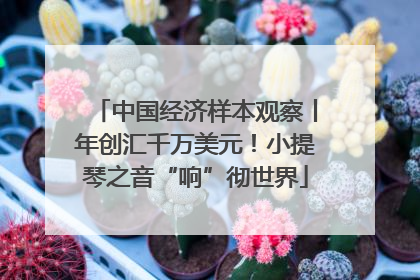 中国经济样本观察丨年创汇千万美元！小提琴之音“响”彻世界