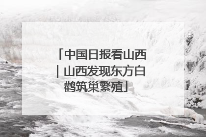 中国日报看山西｜山西发现东方白鹳筑巢繁殖
