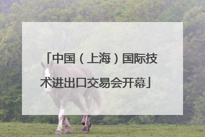 中国（上海）国际技术进出口交易会开幕