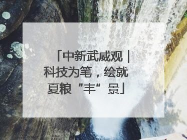 中新武威观｜科技为笔，绘就夏粮“丰”景