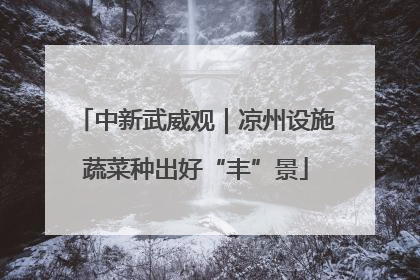 中新武威观｜凉州设施蔬菜种出好“丰”景