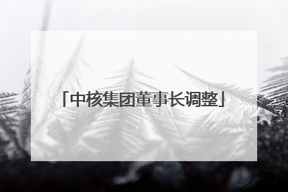中核集团董事长调整