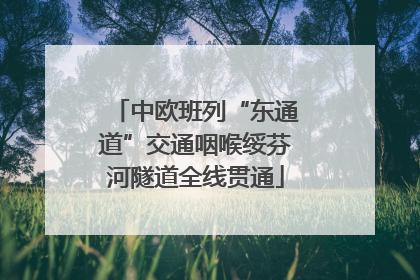 中欧班列“东通道”交通咽喉绥芬河隧道全线贯通