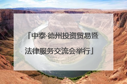 中泰·德州投资贸易暨法律服务交流会举行