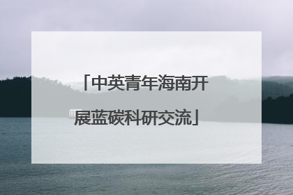 中英青年海南开展蓝碳科研交流