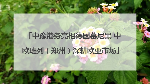 中豫港务亮相德国慕尼黑 中欧班列（郑州）深耕欧亚市场