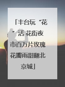 丰台玩“花”活 花街夜市百万片玫瑰花瓣雨甜翻北京城