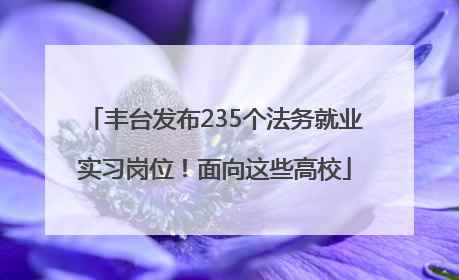 丰台发布235个法务就业实习岗位！面向这些高校