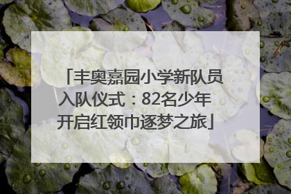 丰奥嘉园小学新队员入队仪式：82名少年开启红领巾逐梦之旅