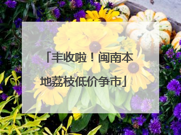 丰收啦！闽南本地荔枝低价争市