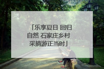 乐享夏日 回归自然 石家庄乡村采摘游正当时