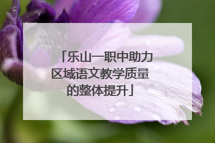 乐山一职中助力区域语文教学质量的整体提升