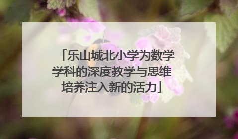 乐山城北小学为数学学科的深度教学与思维培养注入新的活力
