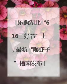 乐购湖北“616三好节”上，最新“嘬虾子”指南发布