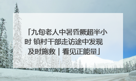 九旬老人中暑昏厥超半小时 镇村干部走访途中发现及时施救｜看见正能量