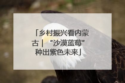 乡村振兴看内蒙古｜“沙漠蓝莓”种出紫色未来