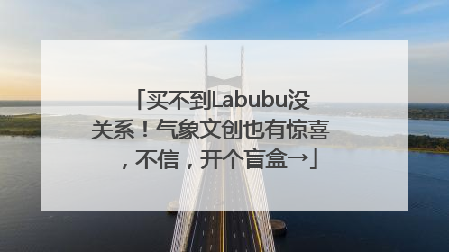 买不到Labubu没关系！气象文创也有惊喜，不信，开个盲盒→
