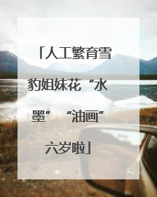 人工繁育雪豹姐妹花“水墨”“油画”六岁啦