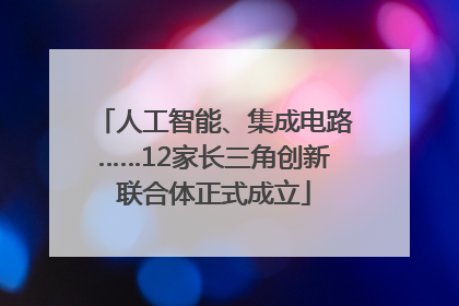 人工智能、集成电路……12家长三角创新联合体正式成立
