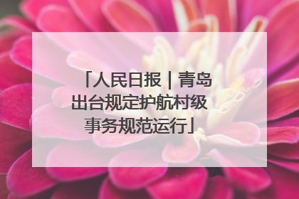 人民日报｜青岛出台规定护航村级事务规范运行