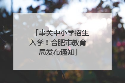事关中小学招生入学！合肥市教育局发布通知