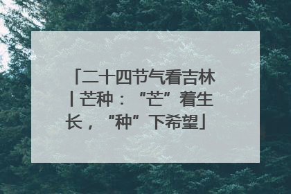 二十四节气看吉林丨芒种：“芒”着生长，“种”下希望