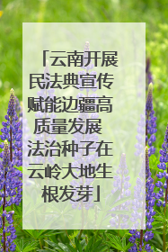 云南开展民法典宣传赋能边疆高质量发展 法治种子在云岭大地生根发芽
