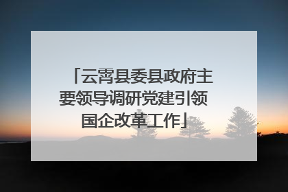 云霄县委县政府主要领导调研党建引领国企改革工作