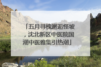 五月寻槐邂逅怪坡，沈北新区中医院国潮中医雅集引热潮