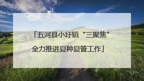 五河县小圩镇“三聚焦”全力推进夏种夏管工作