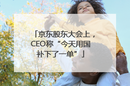京东股东大会上，CEO称“今天用国补下了一单”