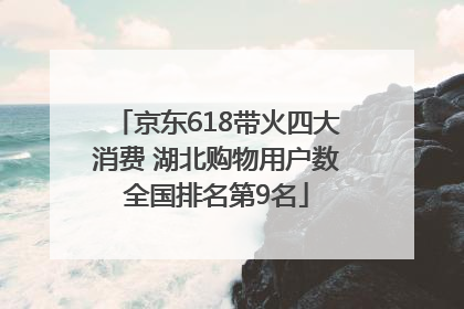 京东618带火四大消费 湖北购物用户数全国排名第9名