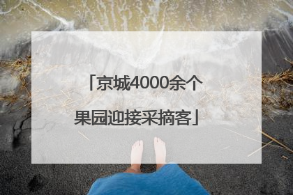 京城4000余个果园迎接采摘客