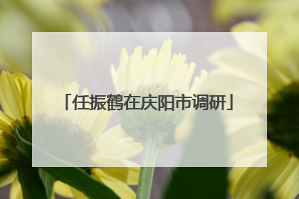 任振鹤在庆阳市调研