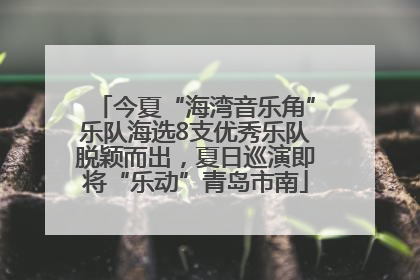 今夏“海湾音乐角”乐队海选8支优秀乐队脱颖而出，夏日巡演即将“乐动”青岛市南