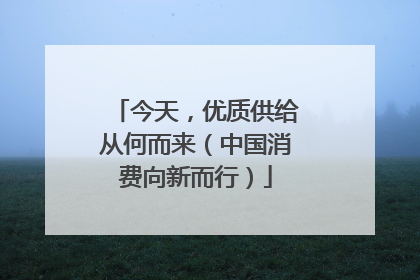 今天，优质供给从何而来（中国消费向新而行）