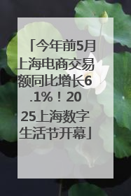 今年前5月上海电商交易额同比增长6.1%！2025上海数字生活节开幕