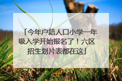 今年户籍人口小学一年级入学开始报名了！六区招生划片表都在这