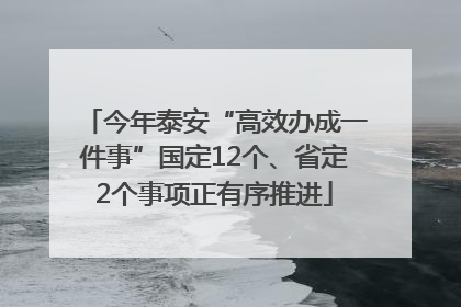 今年泰安“高效办成一件事”国定12个、省定2个事项正有序推进