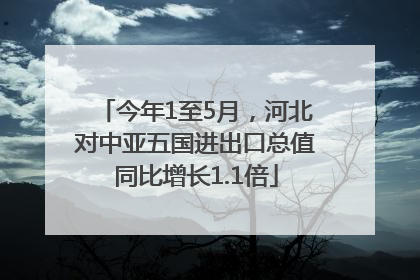 今年1至5月，河北对中亚五国进出口总值同比增长1.1倍