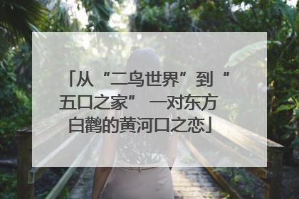 从“二鸟世界”到“五口之家” 一对东方白鹳的黄河口之恋